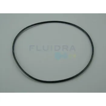 Těsnění tor. víka filtru Cantabric D900