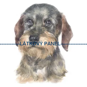 Látkový panel - Pes - PS-129 Velikost: 25x25cm, Materiál: Kočárkovina