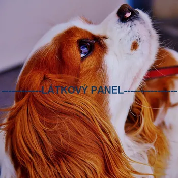 Látkový panel - Pes - PS-119 Velikost: 15x15cm, Materiál: Kočárkovina