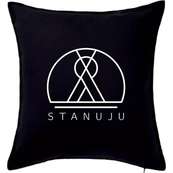 Polštář Ikona - stanuju - Polštář 50x50 - 50x50 - Pouze potah ( Černá )