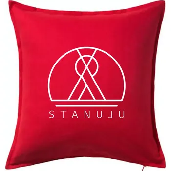 Polštář Ikona - stanuju - Polštář 50x50 - 50x50 - Pouze potah ( Červená )
