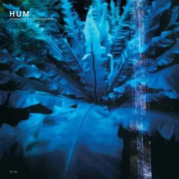 Zahraniční hudba CD Hum: Downward Is Heavenward 2023