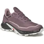 Běžecké boty Salomon Alphacross 5 Gtx W GORE-TEX 473110 23 W0 Fialová 36_23