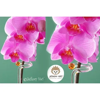 SKLENĚNÝ DRŽÁK ORCHIDEJE - ORANŽOVÁ KULIČKA