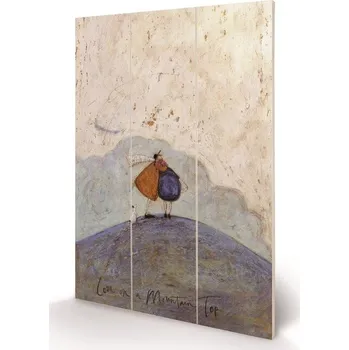 Obraz Dřevěný obraz Sam Toft - Love on a Mountain Top