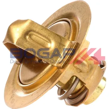 Chladič motoru Termostat chladící kapaliny BOGAP E4245115