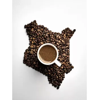 Káva Kenya AA 500g