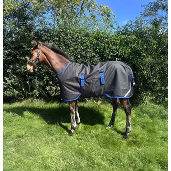 Deka pro koně AMIGO Deka výběhová Amigo, pro hříbata, 50 g, black/classic blue Délka zad: 70 cm