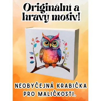 Krabička na výslužku krabička s potiskem Krabička, s potiskem, SOVA NA VĚTVI, 17,3x16x5,3 cm, 1 ks