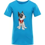 Dětské bavlněné triko ALPINE PRO ECOMO 3 modrá 140-146