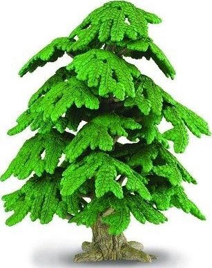 COLLECTA Strom Ginkgo Biloba