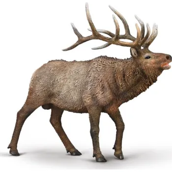 Figurka COLLECTA figurka Jelen Wapiti