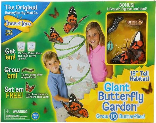 INSECT LORE Velká motýlí zahrádka kompletní sada (6-10 housenek) + figurky životní cyklus motýla