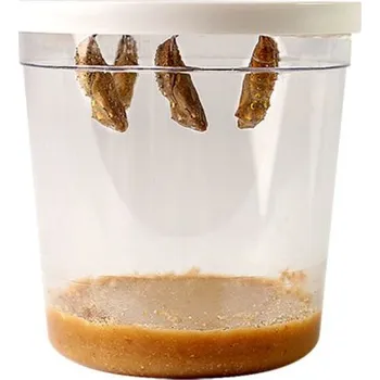 ostatní stavebnice INSECT LORE kupón na 3-5 housenek motýlů