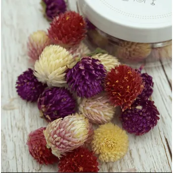 Jedlá dekorace na dort ROSIE ROSE – SUŠENÉ KVĚTY PESTROVKY KULOVITÉ – MIX 15ks