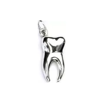 Přívěsek Stříbrný přívěsek, zub - P 427 (Stříbrný zub)