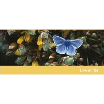 Cizí jazyk Straightforward Split Ed. 1B: Teacher´s Book Pack w. Audio CD