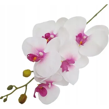 umělá květina UMĚLÁ KVĚTINA ORCHIDEJ JEDNOTLIVÁ BÍLO-RŮŽOVÁ V: 65 cm