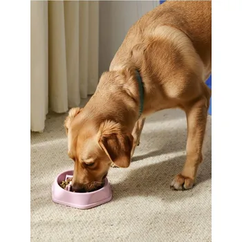 Miska pro psa Sinsay - Miska pro zvířata - pastelová růžová - 865FB-03X - 865FB-03X-ONE