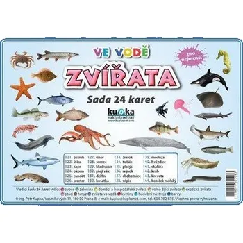 plyšák Zvířata ve vodě - Sada 24 karet