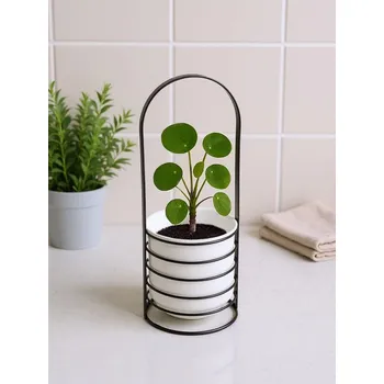 Stojan na květiny Sinsay - Kovový stojan na květiny - černá - 476GD-99X - 476GD-99X-ONE