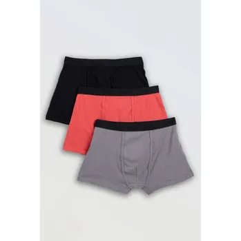Chlapecké spodní prádlo Reporter Young | Chlapecká barevná sada boxerek 3-PACK - Barva VÍCEBAREVNÁ, Velikost 146/152 251-0999B-06-900-1