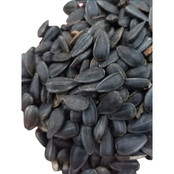 Krmivo pro ptáka Slunečnicové krmivo pro ptáky černé 5 kg zrno semena krmítko koule