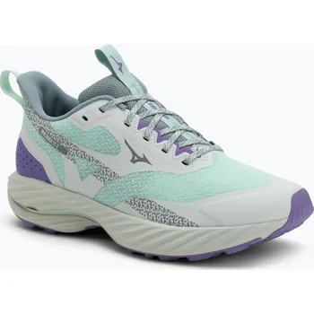 Dámská běžecká obuv Dámské běžecké boty Mizuno Wave Rider TT 2 bay/hint of mint/paisley purple