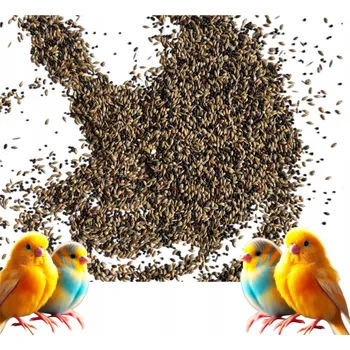 Krmivo pro ptáka Krmivo pro kanárky 5 kg krmivo pro papoušky malé papoušky stehlík