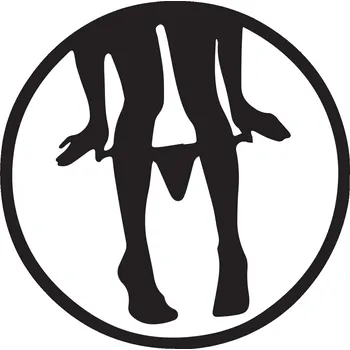 Samolepicí dekorace na vozidlo Nálepka na auto, automobil, ODOLNÁ FÓLIE AUTOMOBILOVÁ 10 cm