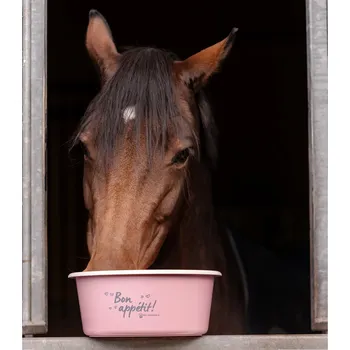 kbelík Waldhausen Muesly kyblík "Bon Appétit" s víčkem 5l Barva: Růžová
