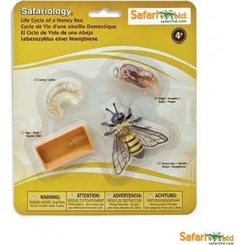 Safari Ltd. SAFARI Ltd figurka životní cyklus Včela