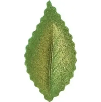 Jedlá dekorace na dort List růže zelený pozlacený, oplatek 10 ks