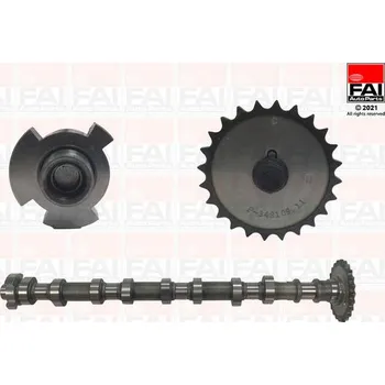 Vačková hřídel Vačkový hřídel FAI AutoParts C413