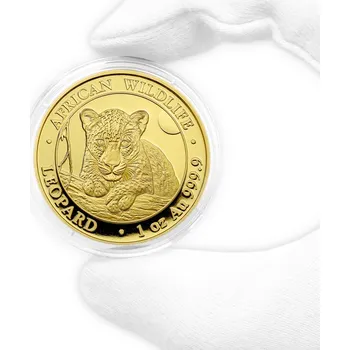 Zlatá investiční mince Leopard Somálsko 1 Oz 2025