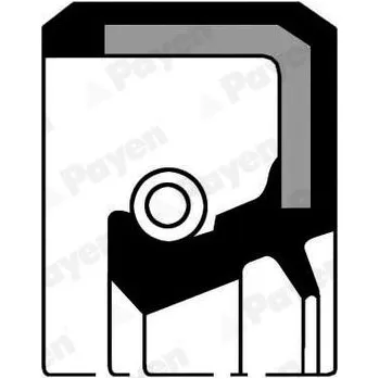 Vačková hřídel Těsnicí kroužek hřídele, vačkový hřídel PAYEN NJ134