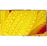 NEC MultiSync/M501-2/50"/VA/4K UHD/60Hz/8ms/Black/3R (60006084)