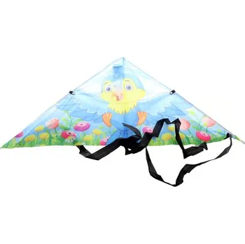 Létající drak Drak létací ptáček