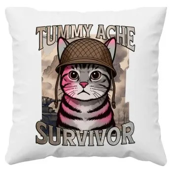 Žertovný předmět Tummy ache survivor - kočičí voják - polštář s potiskem- Tričkový.cz