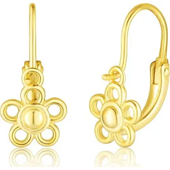 Náušnice Náušnice JVD SVLE3174XF6GO00 stříbrné