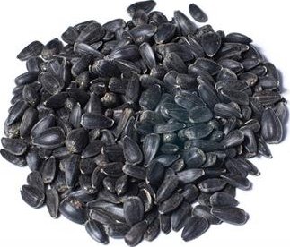 Slunečnice černá - 20 kg