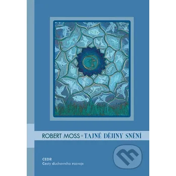 Tajné dějiny snění - Robert Moss Triton