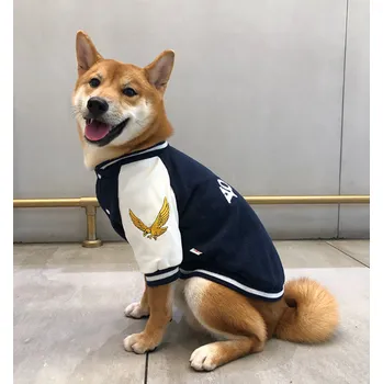 Obleček pro psa Univerzitní bunda pro psa Barva: Černá, Velikost: L