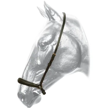 Nánosník Kentaur -HANOVERSKÝ- - Černá - Full