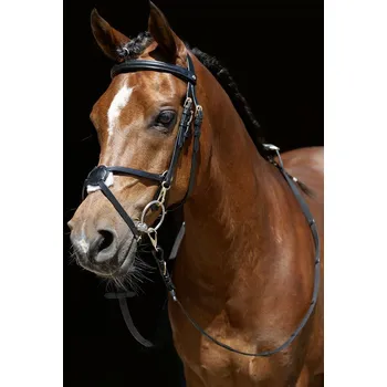 HKM Uzdečka Mexican Style HKM, černá PONY