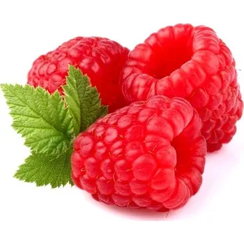 Ochucovací pasta Malina 200 g