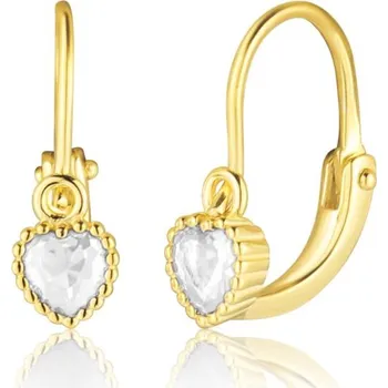 Náušnice Náušnice JVD SVLE3158XF6GO00 stříbrné