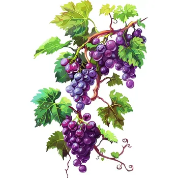 Samolepící dekorace UV samolepka hroznové víno 8x5 cm (UV samolepka se zeleninou a ovocem)