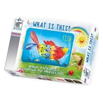 Cizojazyčná kniha Stolní hra What is this?? Moje první slova anglicky Beniamin