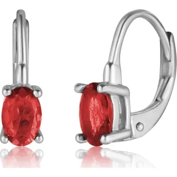 Náušnice Náušnice JVD SVLE3154XF6R100 stříbrné